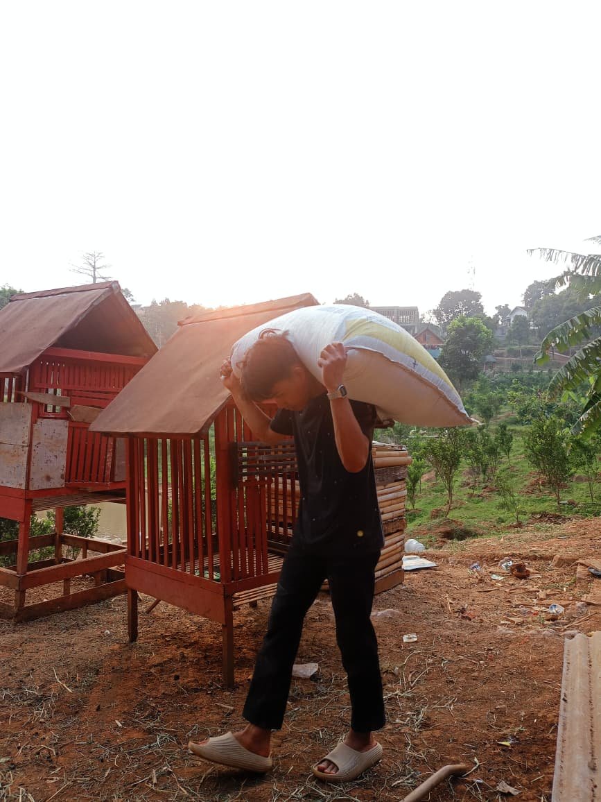 Pakan Ternak